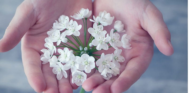 Föräldraskapsstöd