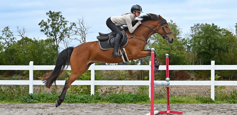 Vilja hoppar med sin häst över ett hinder. 
